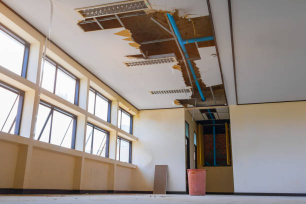 Best Basement water damage restoration  in Brambleton, VA
