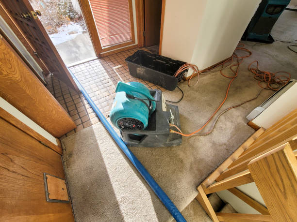 Best Fire Damage Restoration  in Brambleton, VA