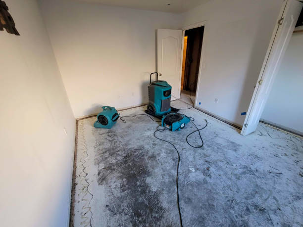 Carpet water damage restoration in Brambleton, VA