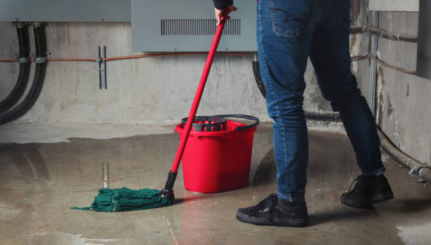 Best 24/7 water damage repair  in Brambleton, VA