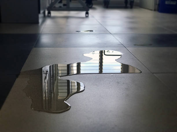 Best Water damage contractors near me  in Brambleton, VA