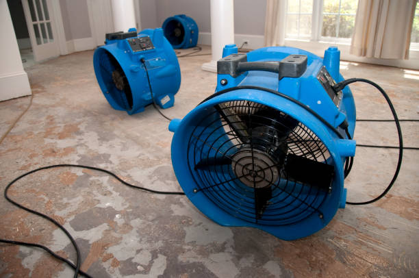 Best Flood restoration services  in Brambleton, VA